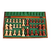 Chess Ambasador 2